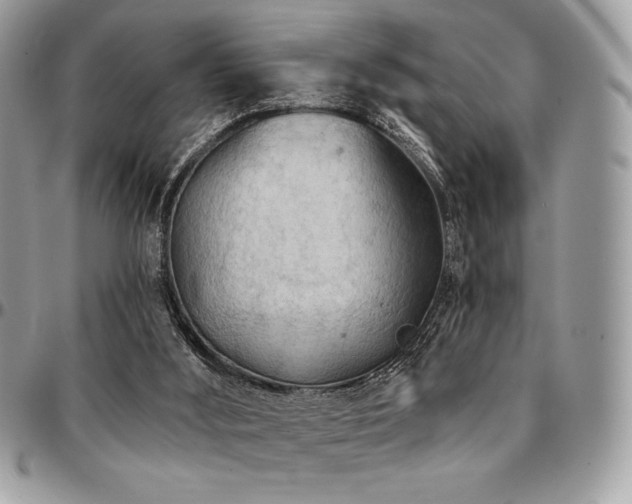 X0000095130012200712071318