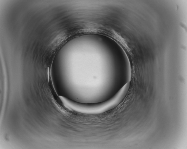 X0000095130013200712071318