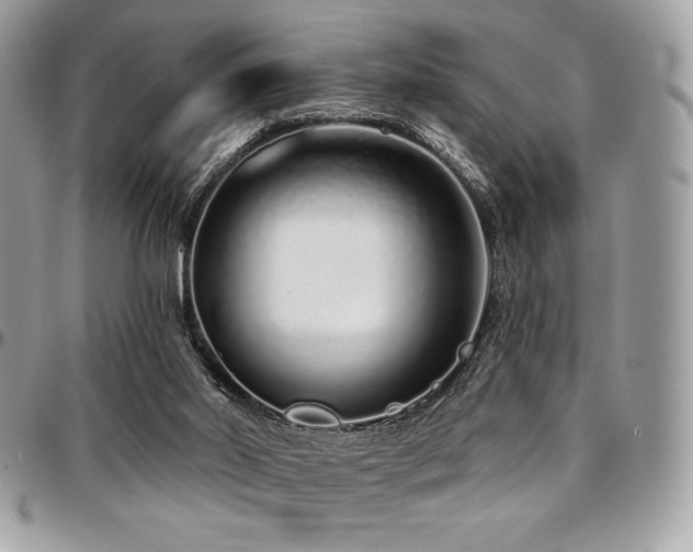 X0000095130014200712071318