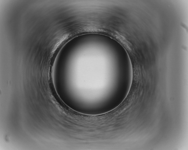 X0000095130015200712071318