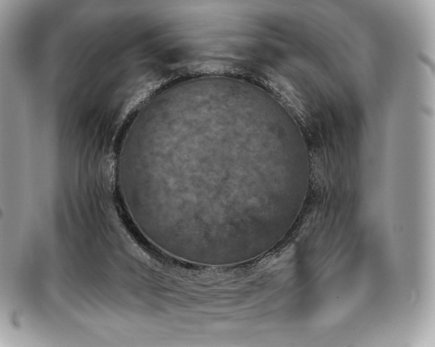 X0000095130016200712071318