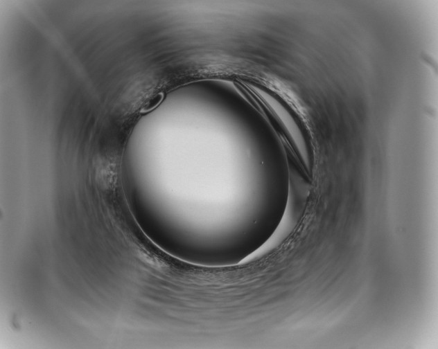 X0000095130017200712071318