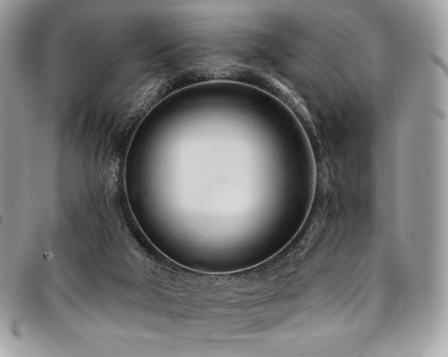 X0000095130018200712071318