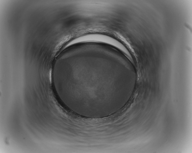 X0000095130019200712071318