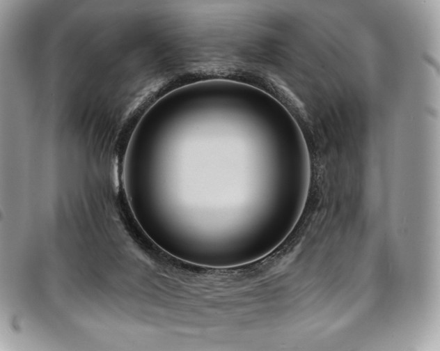 X0000095130020200712071318