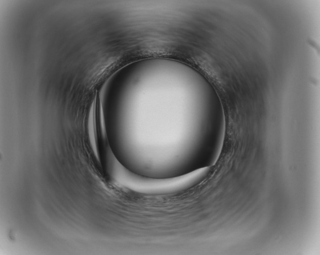 X0000095130021200712071318