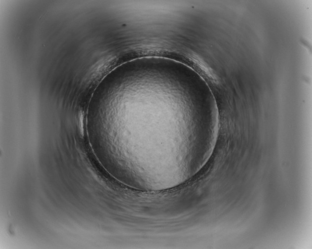 X0000095130022200712071318