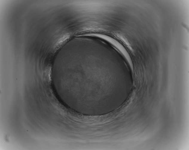 X0000095130023200712071318