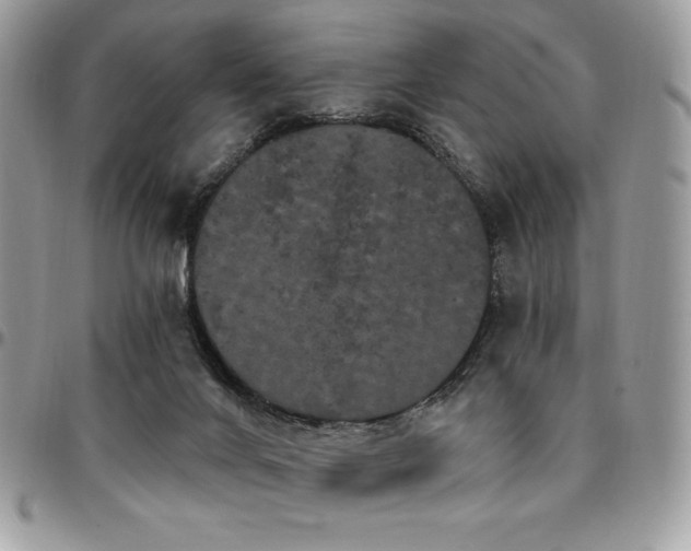 X0000095130024200712071318