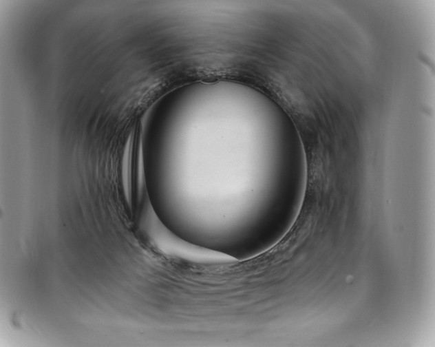 X0000095130025200712071318