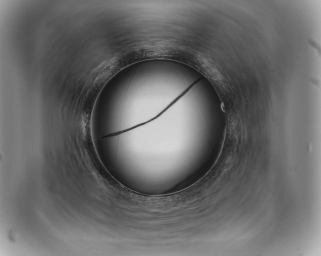 X0000095130026200712071318