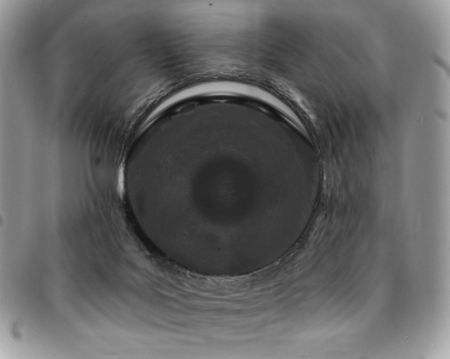 X0000095130027200712071318