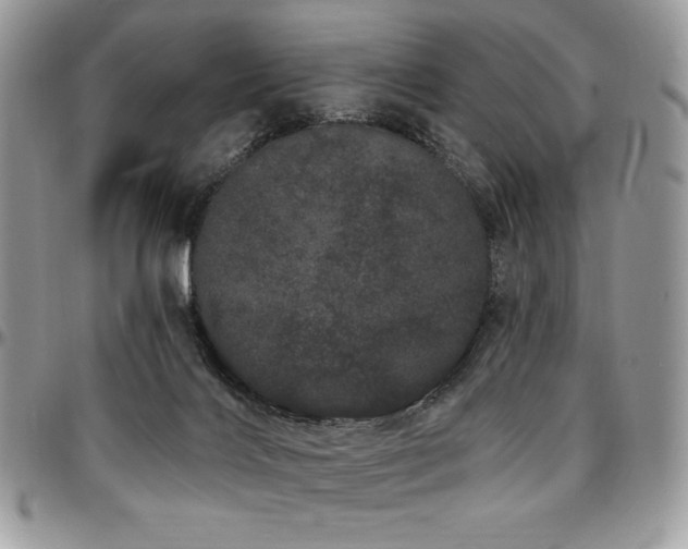 X0000095130028200712071318