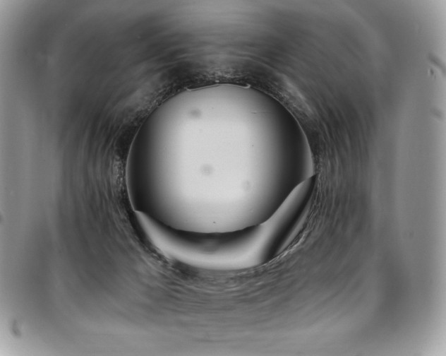 X0000095130029200712071318