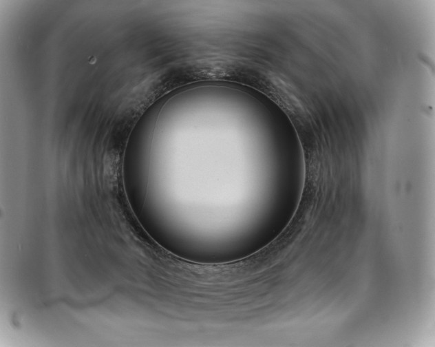 X0000095130030200712071318