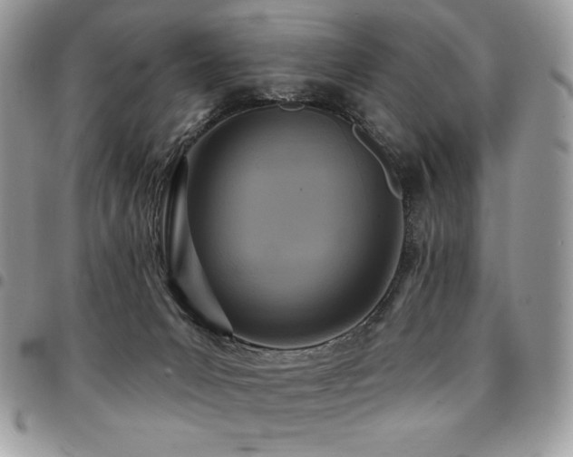 X0000095130031200712071318