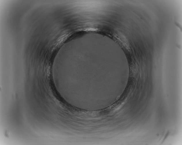 X0000095130032200712071318