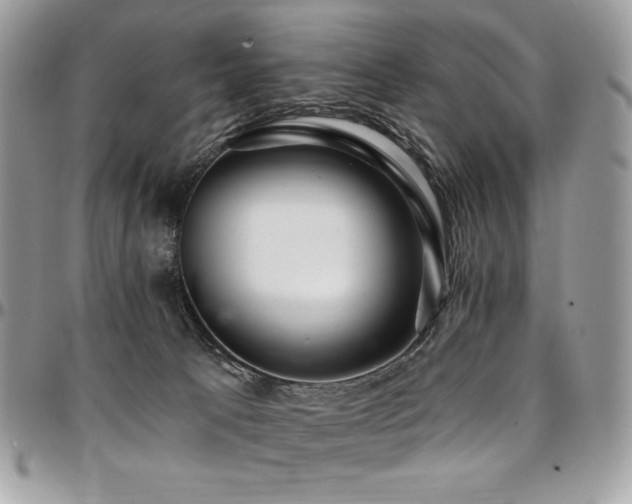 X0000095130033200712071318