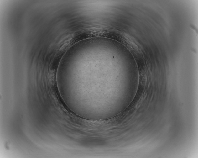 X0000095130034200712071318