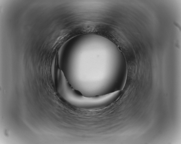 X0000095130035200712071318