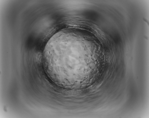 X0000095130036200712071318