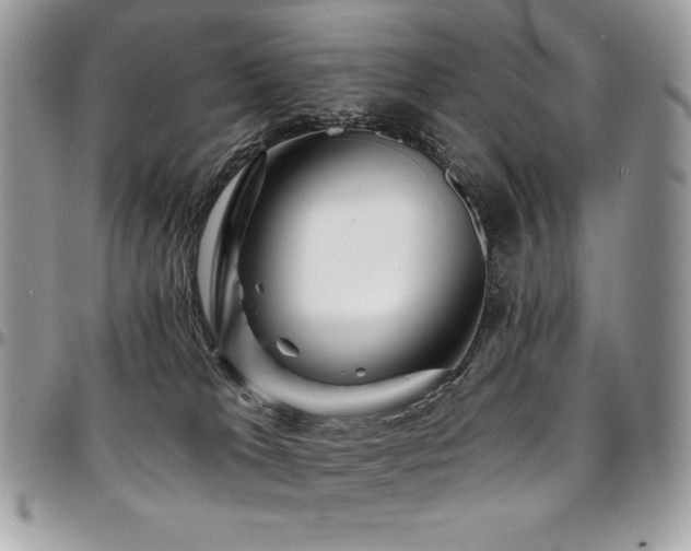 X0000095130037200712071318