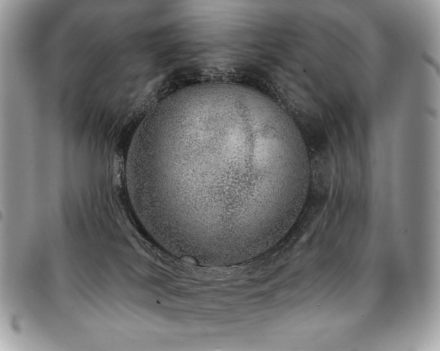 X0000095130038200712071318