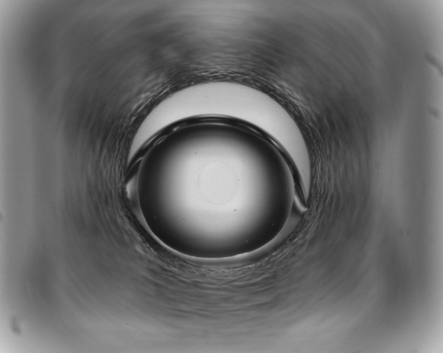 X0000095130039200712071318