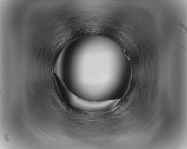 X0000095130040200712071318