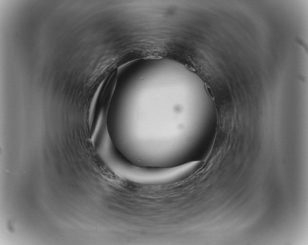 X0000095130041200712071318