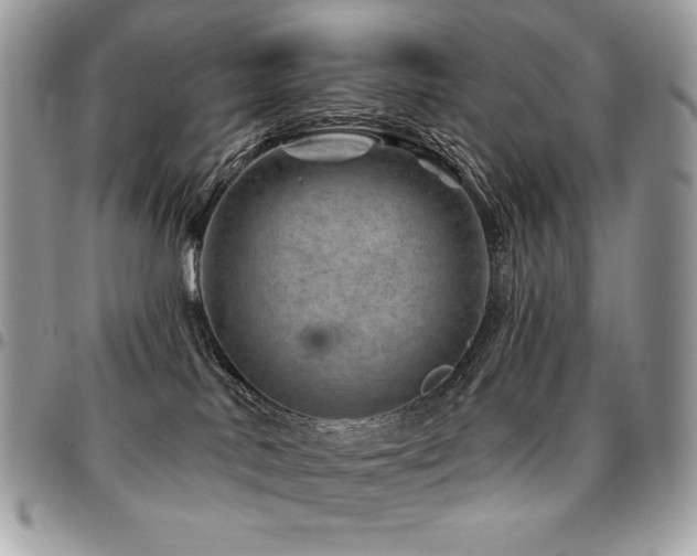 X0000095130042200712071318