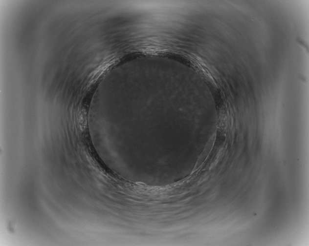 X0000095130043200712071318