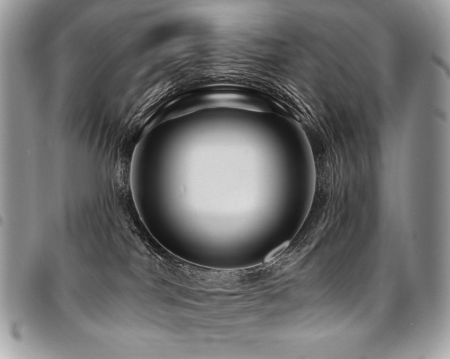 X0000095130044200712071318