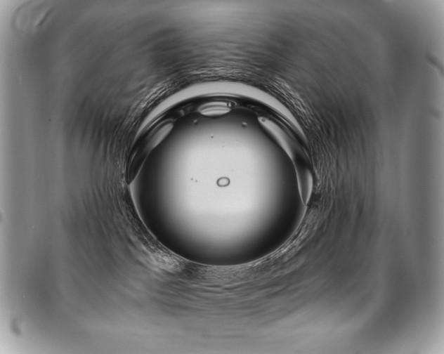 X0000095130045200712071318