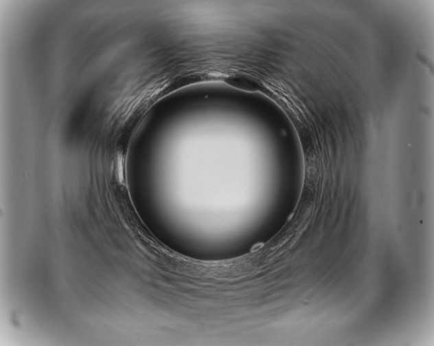 X0000095130046200712071318