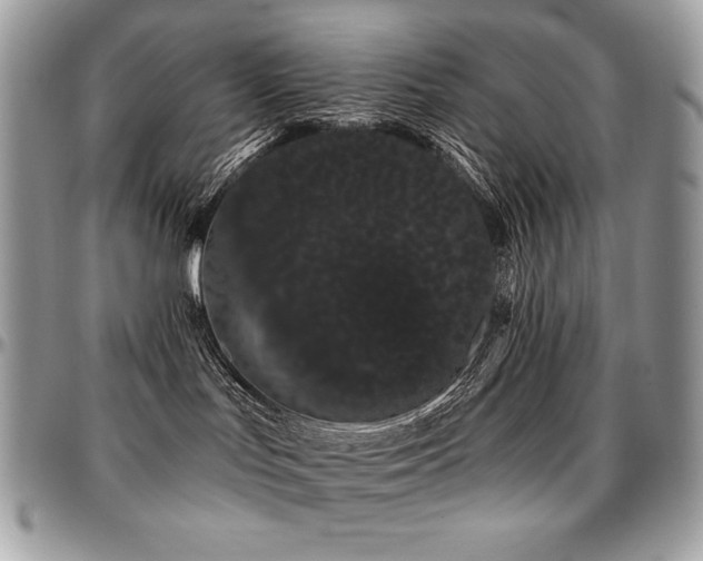 X0000095130047200712071318