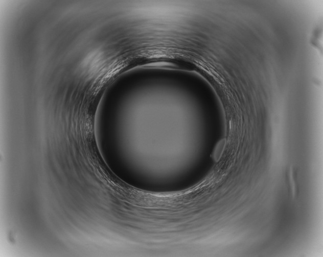 X0000095130048200712071318