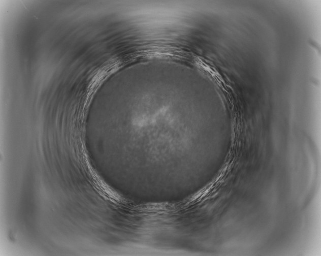 X0000095130049200712071317