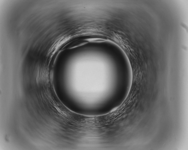 X0000095130050200712071317