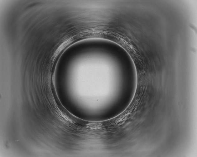 X0000095130051200712071317