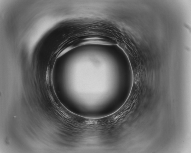 X0000095130052200712071317