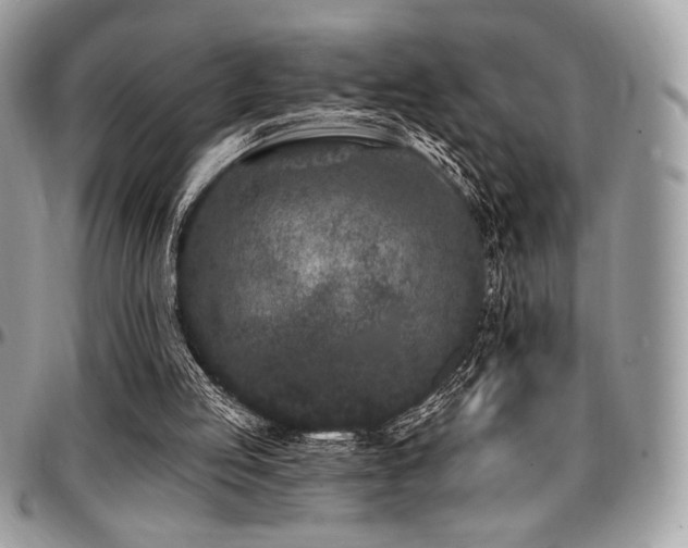 X0000095130053200712071317