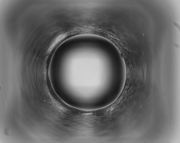 X0000095130054200712071317