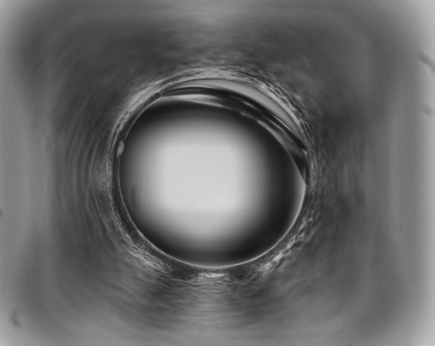 X0000095130055200712071317