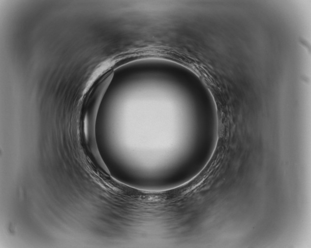 X0000095130056200712071317