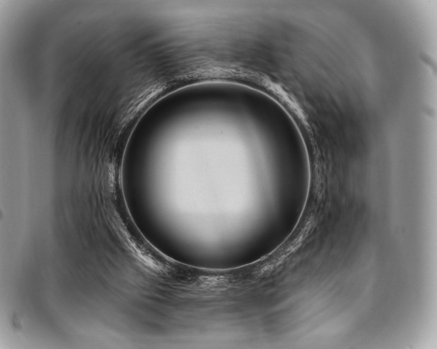 X0000095130057200712071317