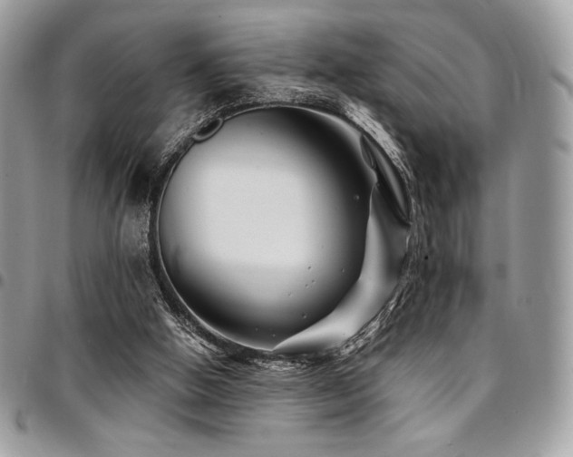 X0000095130058200712071317