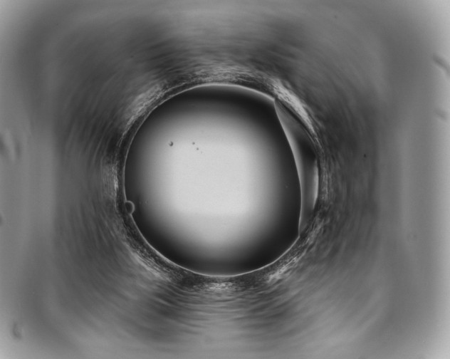 X0000095130059200712071317