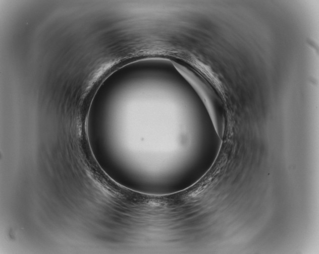 X0000095130060200712071317