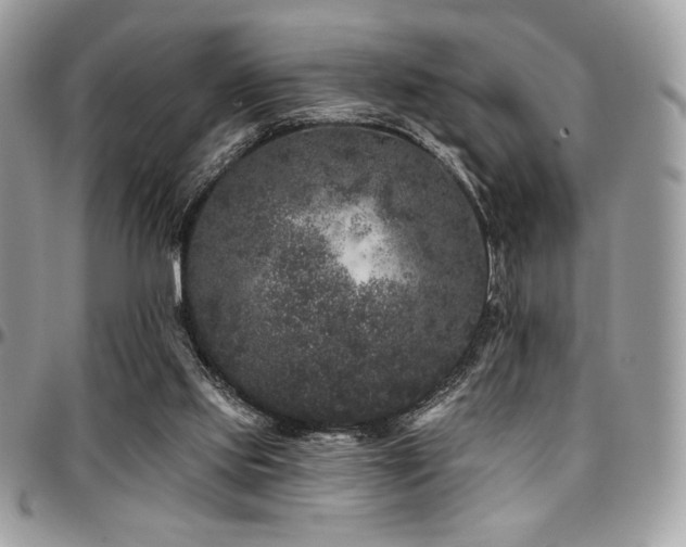X0000095130061200712071317